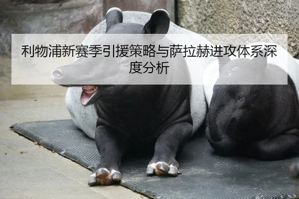利物浦新赛季引援策略与萨拉赫进攻体系深度分析