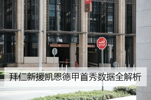 拜仁新援凯恩德甲首秀数据全解析