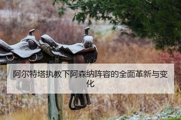 阿尔特塔执教下阿森纳阵容的全面革新与变化